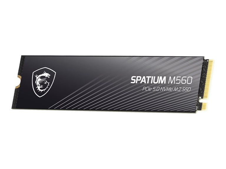 Disco SSD - MSI - Spatium M560 2TB